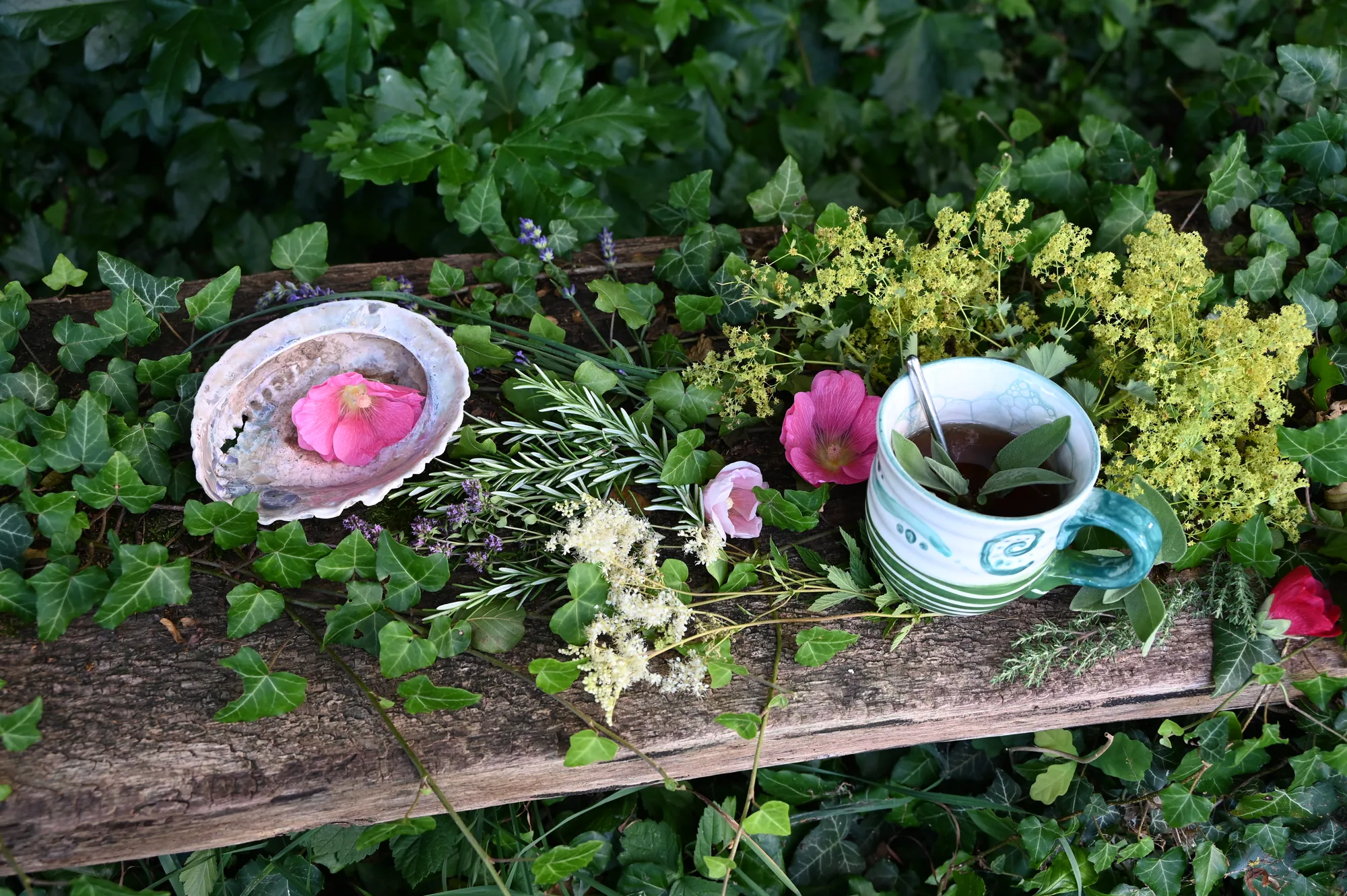 Nahaufnahme: Salbeitee in bemalter Tasse neben Frauenmantel, Rosmarin, Mädesüß und rosa Stockrosen